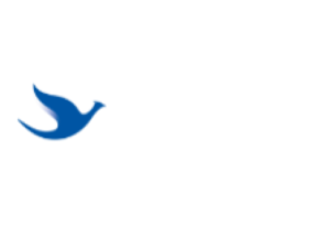 Blue Bird Group